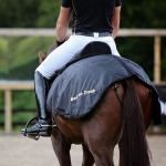 Back on Track Loin / Quarter Rug